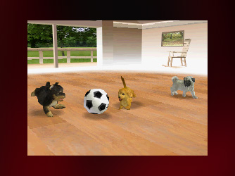 Nintendogs (Nintendo Ds)
Palabras clave: Nintendogs (Nintendo Ds)