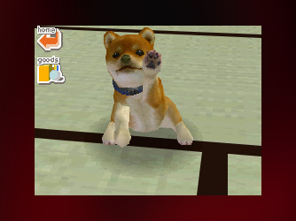 Nintendogs (Nintendo Ds)
Palabras clave: Nintendogs (Nintendo Ds)