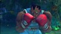 Street Fighter IV 5.jpg