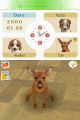 Nintendogs-71.jpg