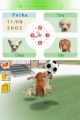 Nintendogs-74.jpg
