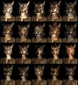The-Elder-Scrolls-V-Skyrim-Artwork-44.jpg