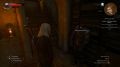 The-Witcher-3-Wild-Hunt-Blood-and-Wine-35.jpg