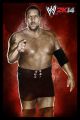 WWE-2K14-Luchadores-22.jpg