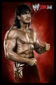 WWE-2K14-Luchadores-42.jpg