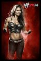 WWE-2K14-Luchadores-51.jpg
