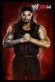 WWE-2K14-Luchadores-71.jpg