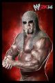 WWE-2K14-Luchadores-76.jpg