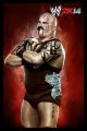 WWE-2K14-Luchadores-86.jpg