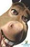 Avatar de Usuario
