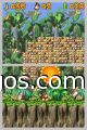 dk-jungle-climber_5.jpg