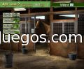 G1 Jockey 4 2008