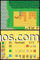 Harvest Moon DS