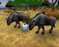 zoo_tycoon_2_4.jpg