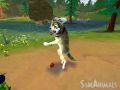Sims Animal Wii 13.jpg