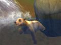 Sims Animal Wii 2.jpg