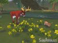 Sims Animal Wii 8.jpg