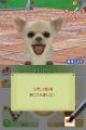 Nintendogs2.jpg