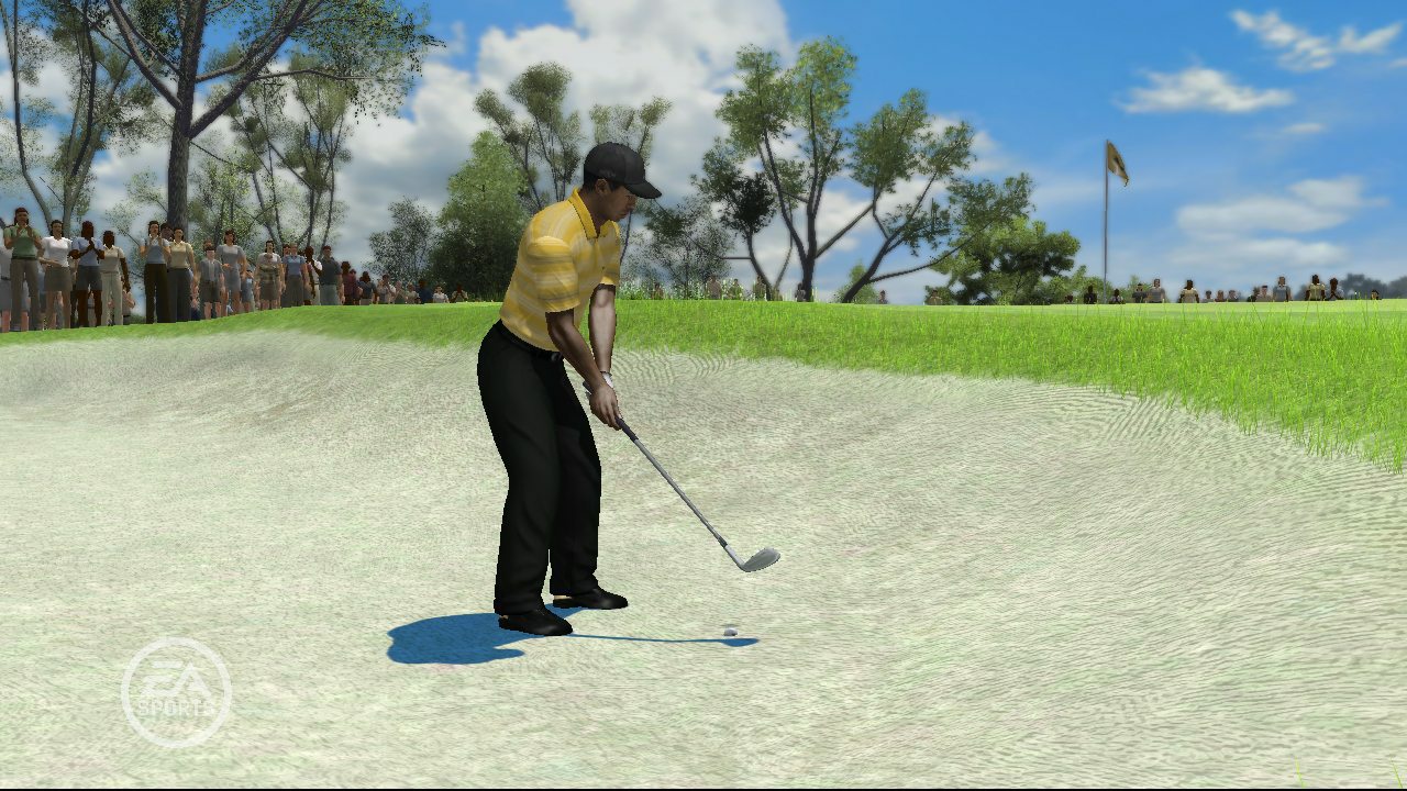 Tiger Woods PGA TOUR 09