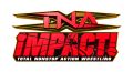 TNAImpactLogo.jpg