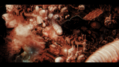 Anoxia-Station-3.png