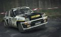 DiRT-Rally-119.jpg