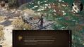 Divinity-Original-Sin-2-15.jpg