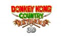 Donkey Kong Country Returns 3D