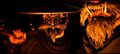 Ghost-of-Yotei-17.jpg