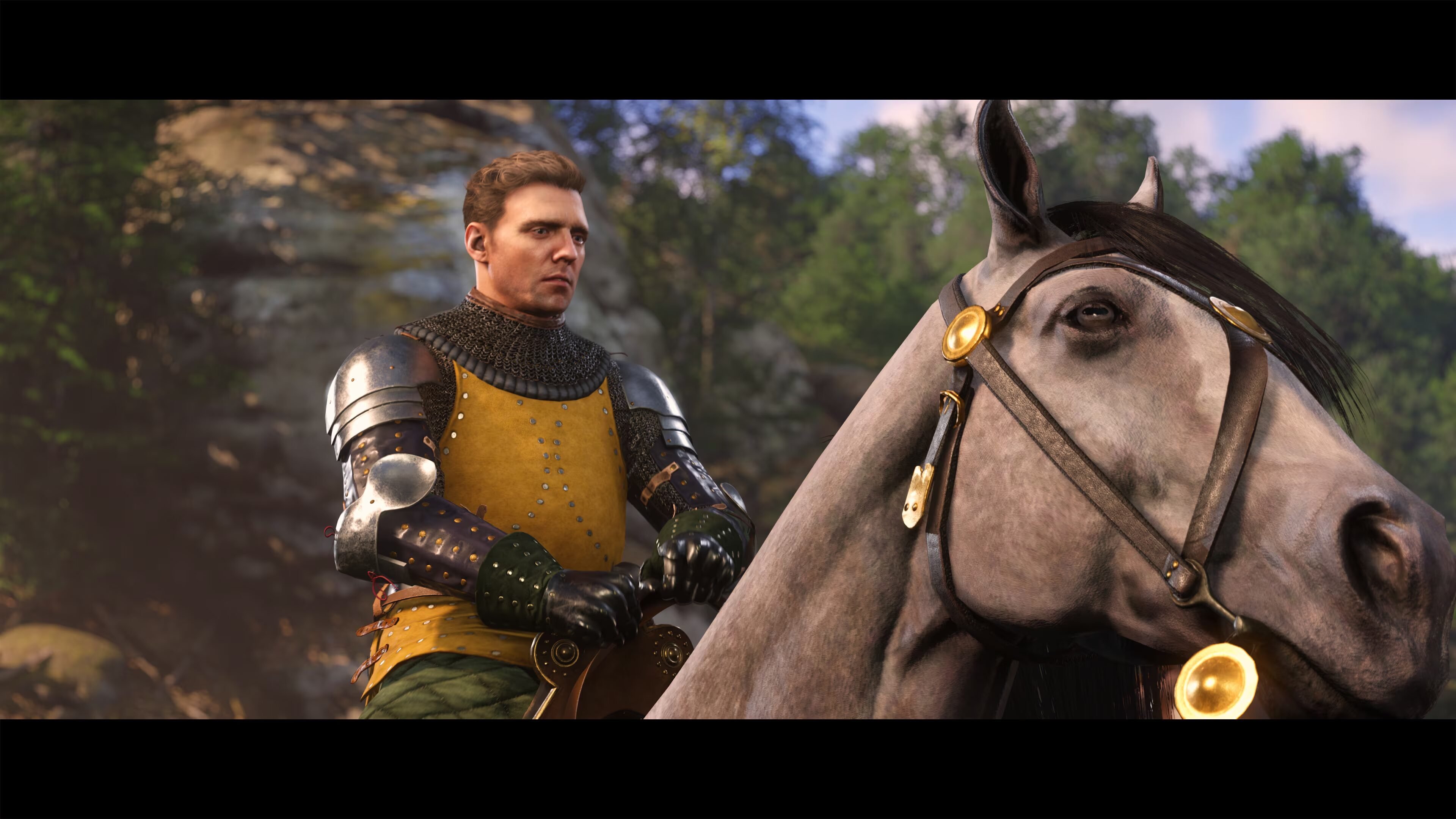 Pulsa aqui para ver la imagen a tamao completo
 ============== 
Kingdom Come Deliverance II
