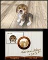 Nintendogs-Cats-Debut-2.jpg