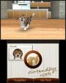 Nintendogs-Cats-Debut-4.jpg