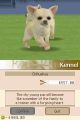 Fichero: Nintendogs-1.jpg
Tama駉: 17KB
Dimensiones: 256x384
Fecha de alta: 24 de Ago de 2010 Nintendogs-1.jpg