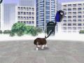 Nintendogs-102.jpg