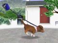 Nintendogs-104.jpg