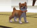 Nintendogs-122.jpg