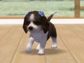 Nintendogs-123.jpg