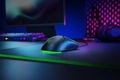 Razer Viper Mini