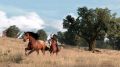 Red-Dead-Redemption-46.jpg