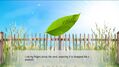 Secrets-In-Green-3.jpg