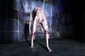 Silent Hill Shattered Memories 12.jpg