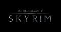 The-Elder-Scrolls-V-Skyrim-Artwork-Logo.jpg