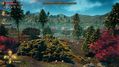 The-Outer-Worlds-33.jpg
