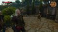 The-Witcher-3-Wild-Hunt-Blood-and-Wine-36.jpg