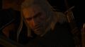 The-Witcher-3-Wild-Hunt-Blood-and-Wine-39.jpg
