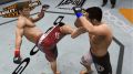 UFC-Undisputed-3-5.jpg
