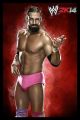 WWE-2K14-Luchadores-34.jpg