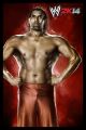 WWE-2K14-Luchadores-88.jpg