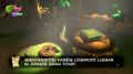 Yooka-Laylee-85.jpg